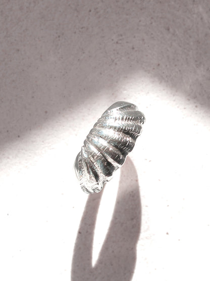 The same sterling silver dome profile ring as the previous image, positioned from a top down view in high contrast lighting to capture the layers of line work and depth of the shell like ridges. 